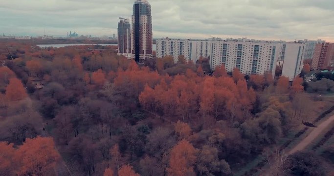 Aerial shot of golden trees on river bank during autumn season. A path or trail going along the river bank. Moscow suburbs, Strogino district, Russia.