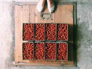 Fototapety na wymiar - Fototapeta24.pl