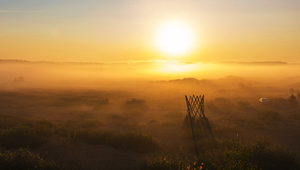 Fototapeta na wymiar Misty dawn in the field