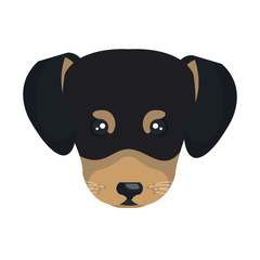 Puppy dog face cartoon, vector illustration graphic design.