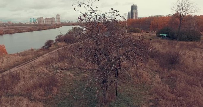 Aerial shot of golden trees on river bank during autumn season. People walking along the footpath near river bank. Moscow suburbs, Strogino district, Russia.