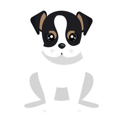 Puppy dog face cartoon, vector illustration graphic design.