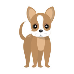 Puppy dog face cartoon, vector illustration graphic design.