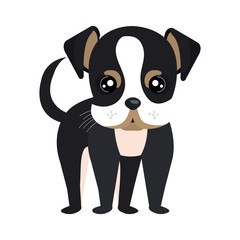 Puppy dog face cartoon, vector illustration graphic design.