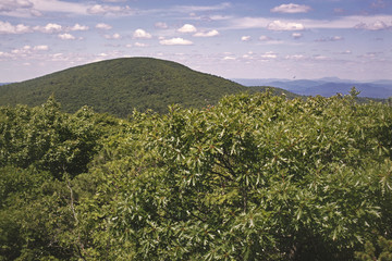 A summer afternoon view of Mount Everett on the Appalachian Trail in Massachusetts.