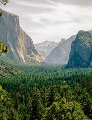 Muurstickers Yosemite Valley, California © Julius Fekete