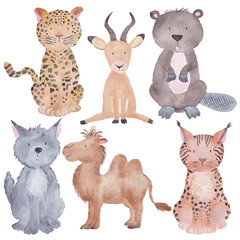 Exotic Animals Watercolor Hand-painted Illustration Isolated on the white