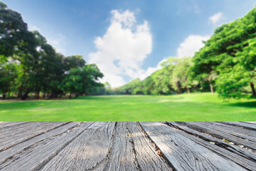 The beautiful landscap field grass and sky  retouch