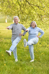 fit senior couple exercising