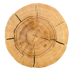 Core of a wooden log isolated on a white background. Top view.Background, texture series.