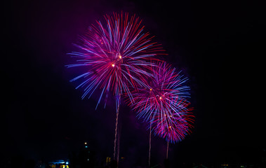 Firework 