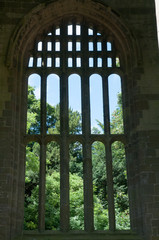 Window in ruined abbey