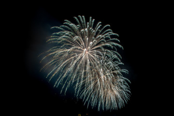 July the 4th Firework