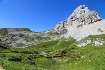 Lac de Peyre
