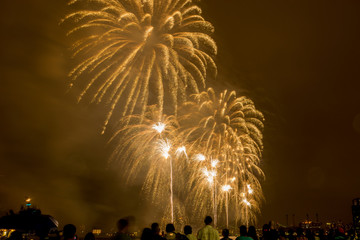 July the 4th Firework