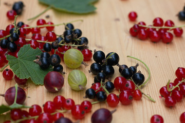 Scattered small organic fruit, red, black currant and goosberries on a wooden table 