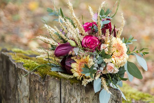 Beautiful wedding bouquet on the stump with fall foliage