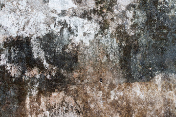 white concrete wall texture