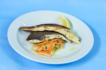 Modern food on a white plate and blue background