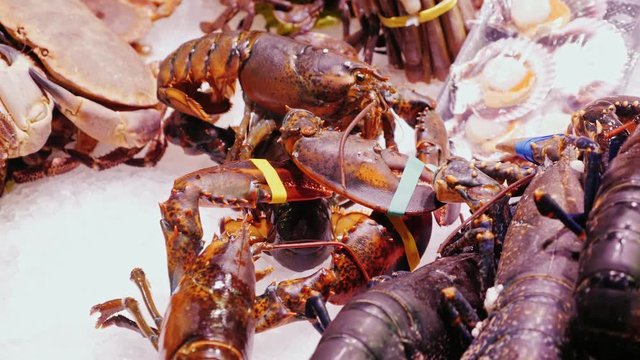 Live lobsters and crabs, stir claws. The famous la Boqueria market in Barcelona
