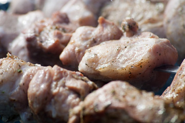 Barbecue Meat Preparation