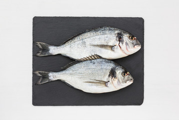 Fresh dorado fish on slate cutting board on white table. Top view, copy space. 