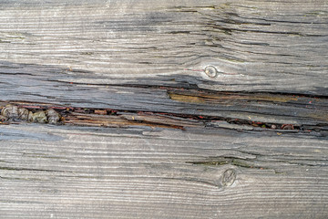 Risse im Holzbrett