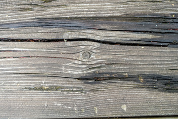 Risse im Holzbrett