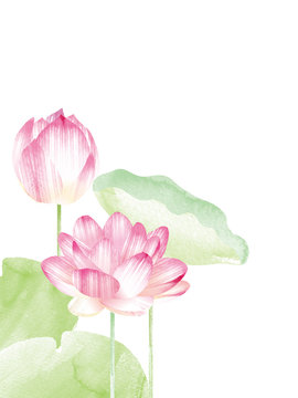Lotus border. Hand drawn watercolor oriental nature illustration. Artistic lily flowers and leaves
