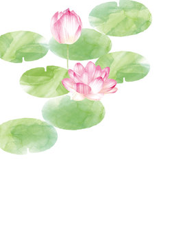 Lotus border. Hand drawn watercolor oriental nature illustration. Artistic lily flowers and leaves