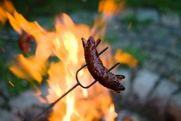 Grilling sausages over a campfire 