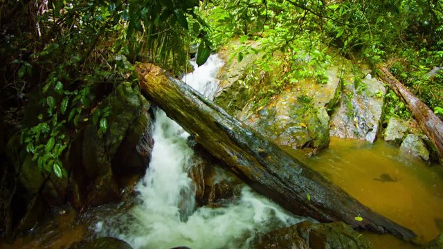 Deadfall log from the trees in this tropical rainforest wilderness, spans a small, natural waterfall, with sound. Video 4k