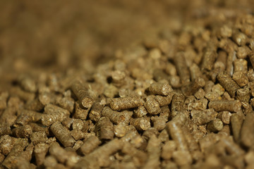 Solid wooden pellets, closeup