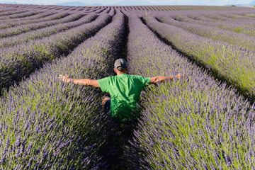 A man sitting with open arms in a field of lavender in Provence