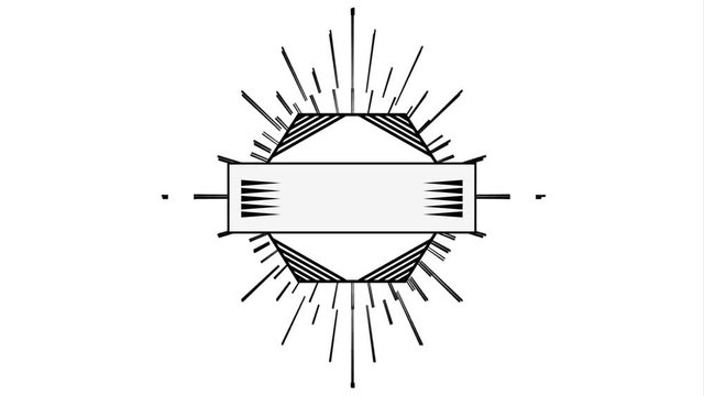 Seal icon design with lines