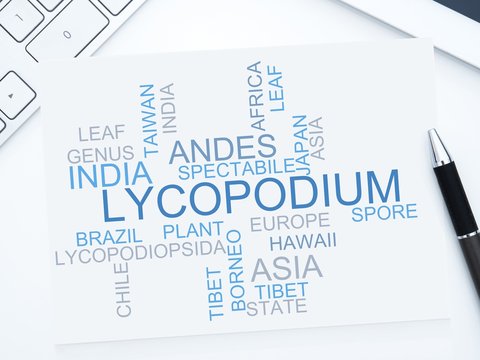 Lycopodium