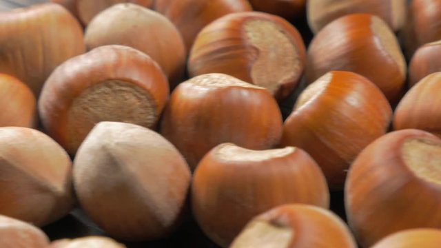 Corylus avellana hazelnut filberts on wooden dark textured surface 4K 3840X2160 UltraHD video - Hazelnut filberts motion dolly 4K 2160p UHD video