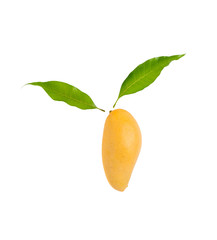 Yellow mango and leaf on white background.