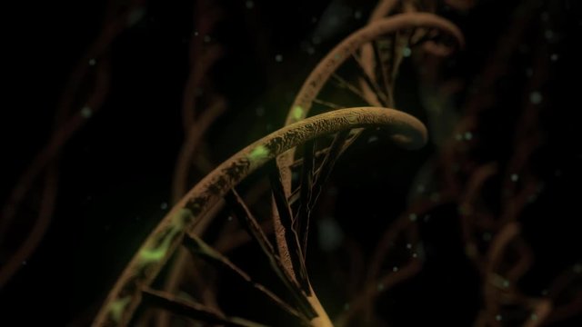 DNA spinning RNA double helix slow tracking shot closeup depth of field 4K
