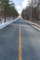 Fototapeta premium Winter road through snowy fields and forests