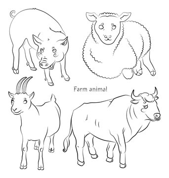 black and white image of a bull, pig, sheep and goat