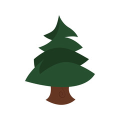 Nature and eco concept represented by pine tree icon. isolated and flat illustration 