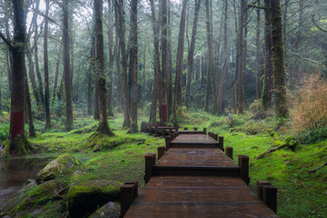 Alishan National Scenic Area