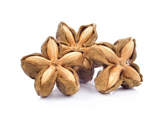 Sacha-Inchi peanut, fresh capsule seeds fruit of sacha-Inchi pea