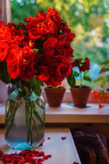red roses in the vase
