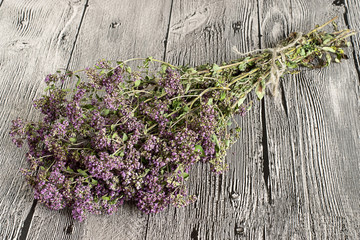  The herb oregano. The herb oregano gathered into a bundle on gray wooden background.