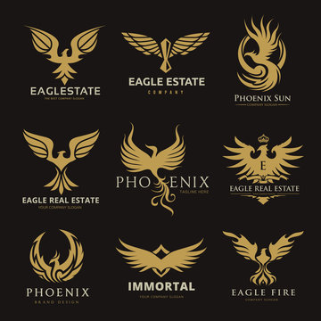 Eagle logo collection,bird logo,phoenix logo,vector logo template.