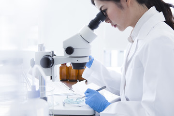 Research student you are looking through the microscope