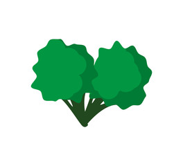 Healthy and organic food concept represented by broccoli icon. isolated and flat illustration 