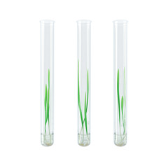Sprouted grains in glass test tubes (3d render)